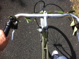 photo of front of the bike, we see eva's right foot, pedaling!